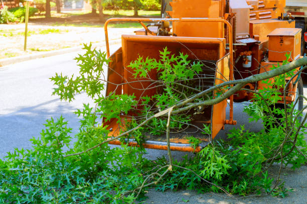 Mulching Services in Norwich, CT